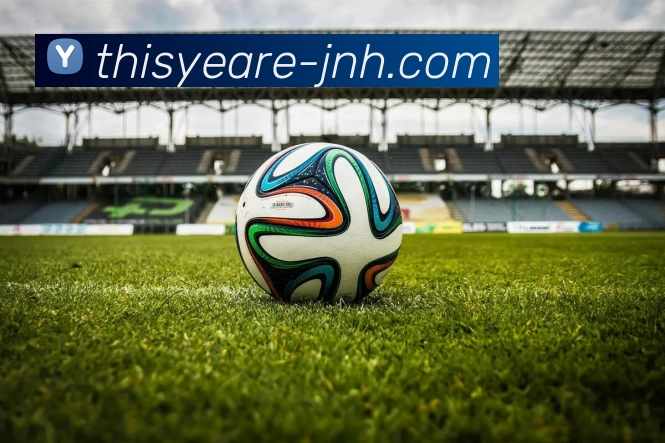 今年会官网平台生态图