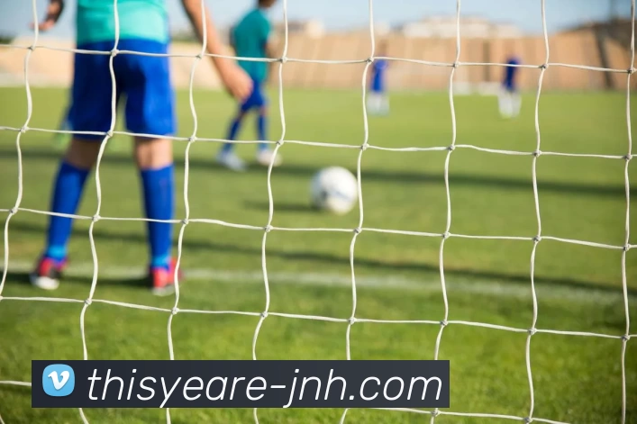 2018国际赛德国与西班牙激战回顾：足球盛宴中的战术较量与精彩瞬间