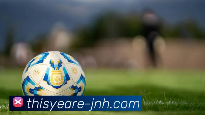 今年会官网全站App